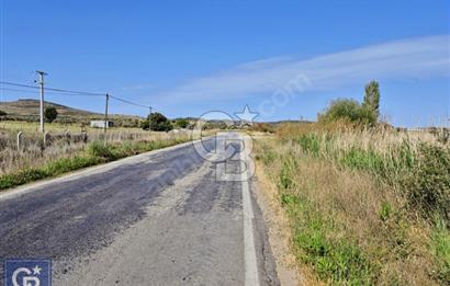 AYVACIK/ TUZLA-GÜLPINAR ASFALTINA CEPHE 10.536M2 SÜPER ARAZİ