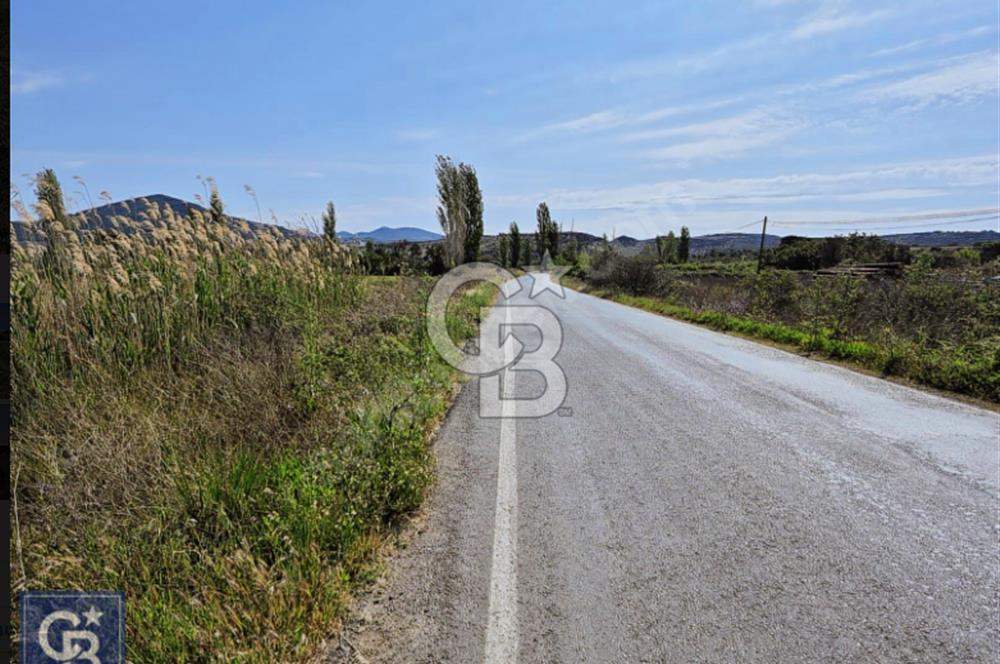 AYVACIK/ TUZLA-GÜLPINAR ASFALTINA CEPHE 10.536M2 SÜPER ARAZİ