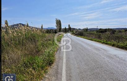 AYVACIK/ TUZLA-GÜLPINAR ASFALTINA CEPHE 10.536M2 SÜPER ARAZİ