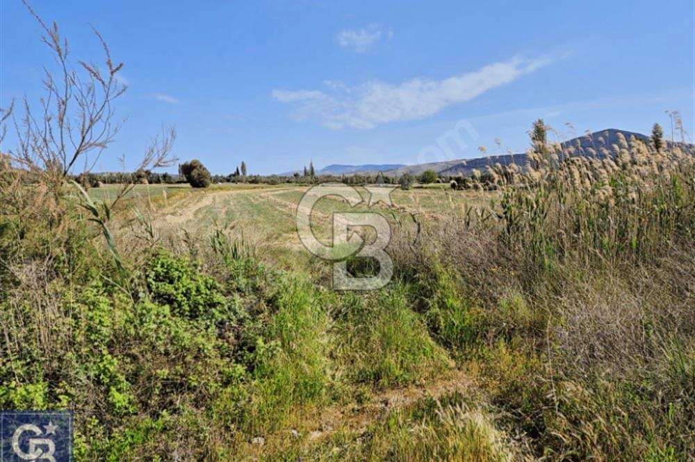AYVACIK/ TUZLA-GÜLPINAR ASFALTINA CEPHE 10.536M2 SÜPER ARAZİ