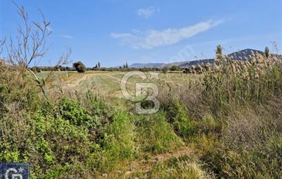 AYVACIK/ TUZLA-GÜLPINAR ASFALTINA CEPHE 10.536M2 SÜPER ARAZİ