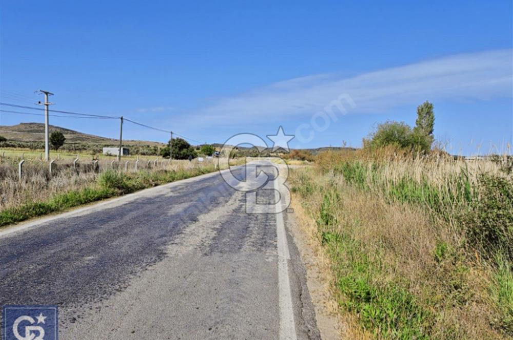 AYVACIK/ TUZLA-GÜLPINAR ASFALTINA CEPHE 10.536M2 SÜPER ARAZİ
