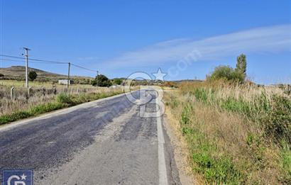 AYVACIK/ TUZLA-GÜLPINAR ASFALTINA CEPHE 10.536M2 SÜPER ARAZİ