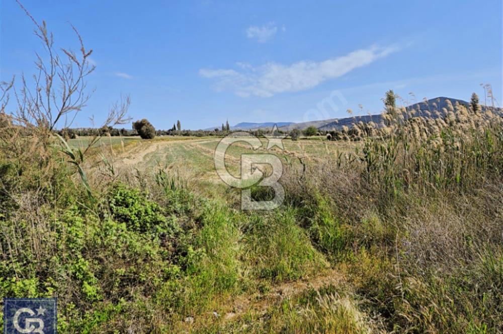 AYVACIK/ TUZLA-GÜLPINAR ASFALTINA CEPHE 10.536M2 SÜPER ARAZİ