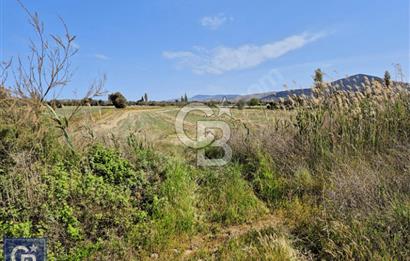 AYVACIK/ TUZLA-GÜLPINAR ASFALTINA CEPHE 10.536M2 SÜPER ARAZİ