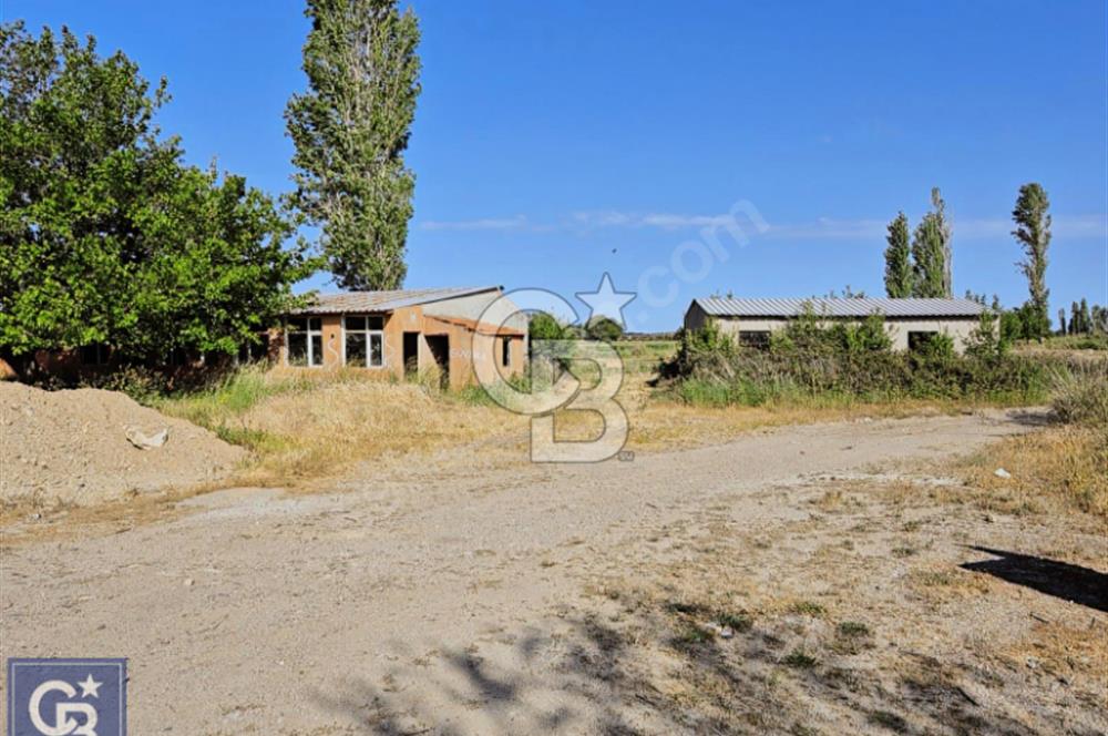 AYVACIK/ TUZLA-GÜLPINAR ASFALTINA CEPHE 10.536M2 SÜPER ARAZİ
