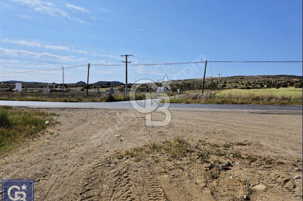 AYVACIK/ TUZLA-GÜLPINAR ASFALTINA CEPHE 10.536M2 SÜPER ARAZİ