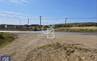 AYVACIK/ TUZLA-GÜLPINAR ASFALTINA CEPHE 10.536M2 SÜPER ARAZİ