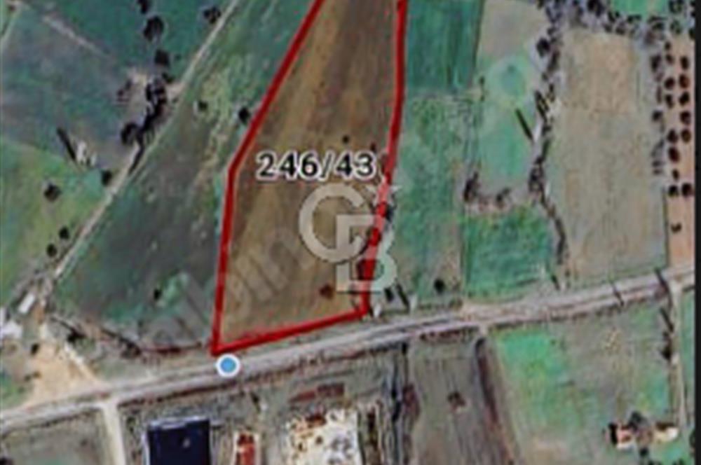 AYVACIK/ TUZLA-GÜLPINAR ASFALTINA CEPHE 10.536M2 SÜPER ARAZİ