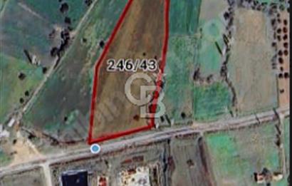 AYVACIK/ TUZLA-GÜLPINAR ASFALTINA CEPHE 10.536M2 SÜPER ARAZİ