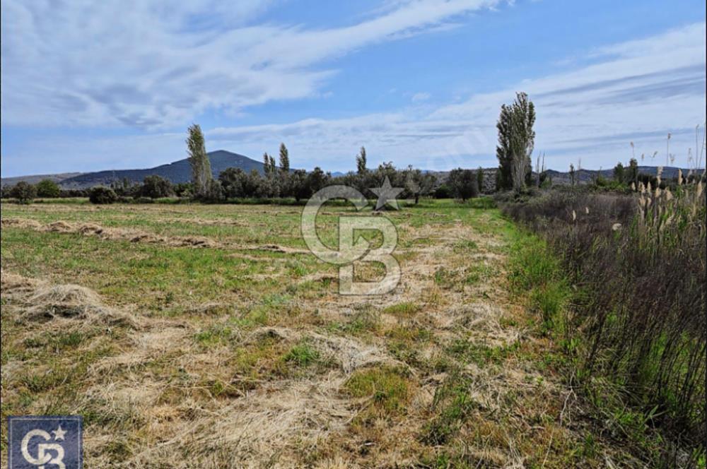 AYVACIK/ TUZLA-GÜLPINAR ASFALTINA CEPHE 10.536M2 SÜPER ARAZİ