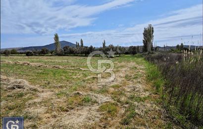 AYVACIK/ TUZLA-GÜLPINAR ASFALTINA CEPHE 10.536M2 SÜPER ARAZİ