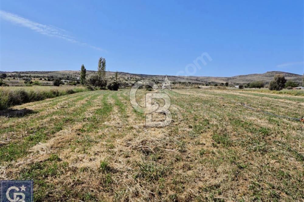 AYVACIK/ TUZLA-GÜLPINAR ASFALTINA CEPHE 10.536M2 SÜPER ARAZİ