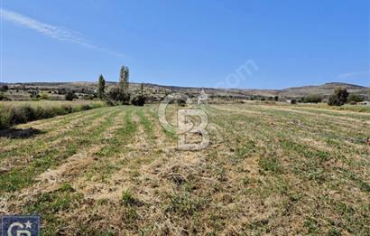AYVACIK/ TUZLA-GÜLPINAR ASFALTINA CEPHE 10.536M2 SÜPER ARAZİ