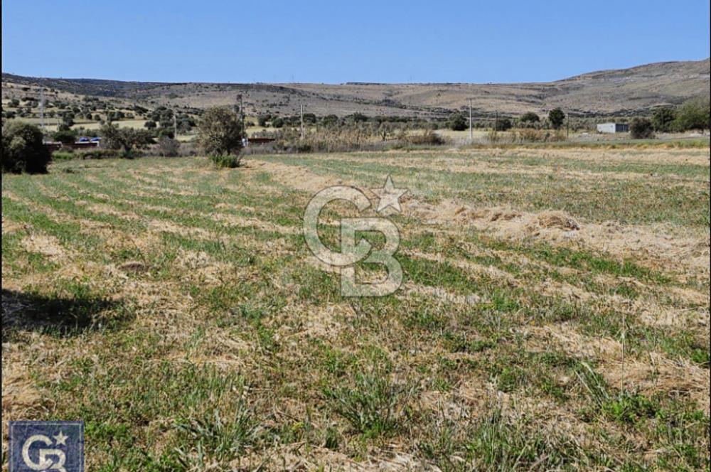 AYVACIK/ TUZLA-GÜLPINAR ASFALTINA CEPHE 10.536M2 SÜPER ARAZİ