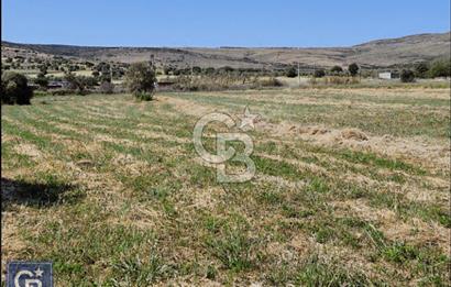 AYVACIK/ TUZLA-GÜLPINAR ASFALTINA CEPHE 10.536M2 SÜPER ARAZİ