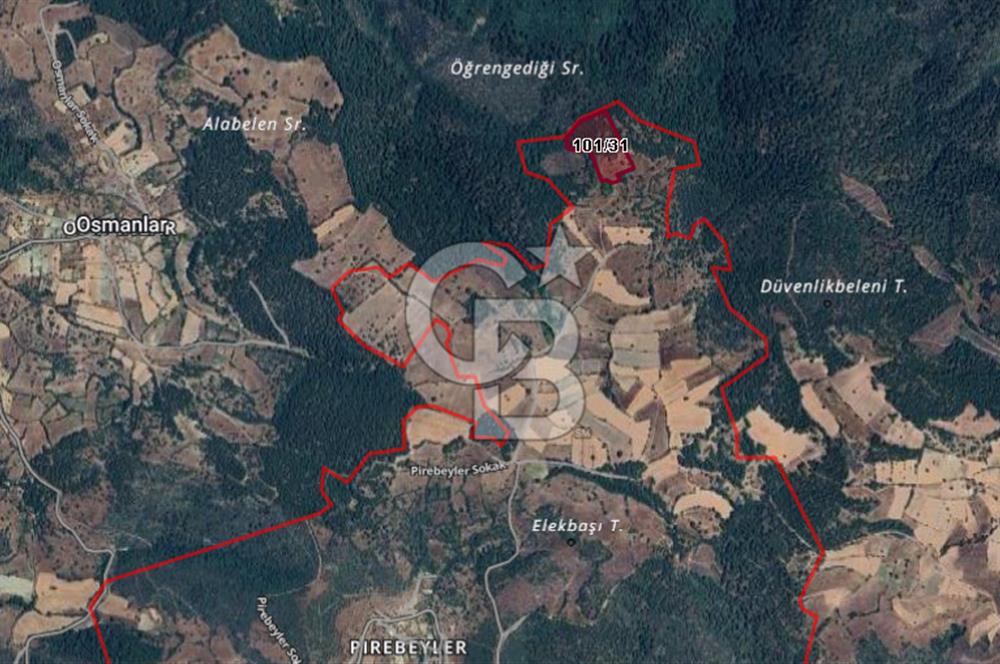 CB BLACK'TAN BÜYÜKORHAN PİRİBEYLER'DE 18.900 M2 SATILIK TARLA