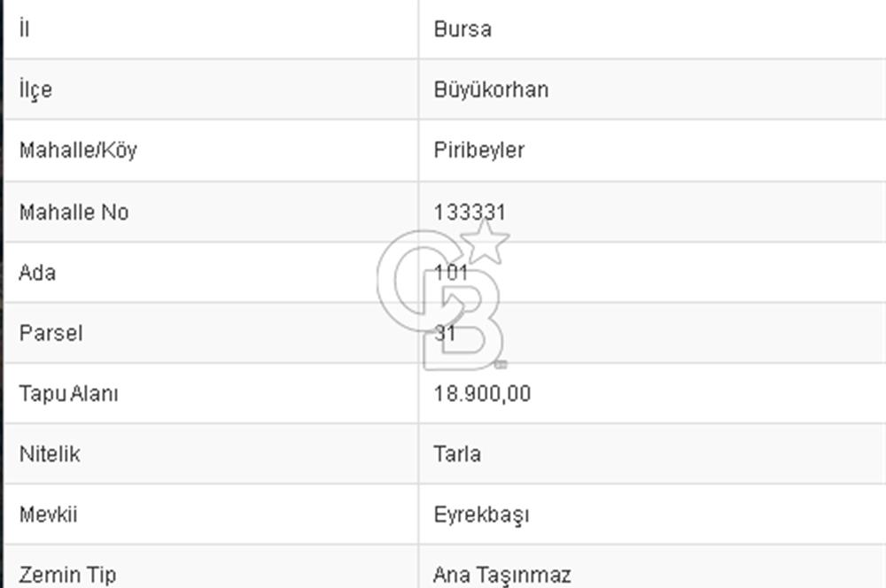 CB BLACK'TAN BÜYÜKORHAN PİRİBEYLER'DE 18.900 M2 SATILIK TARLA
