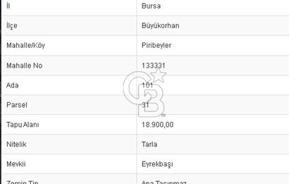 CB BLACK'TAN BÜYÜKORHAN PİRİBEYLER'DE 18.900 M2 SATILIK TARLA