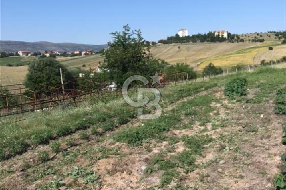 GÜDÜL İMAR SINIRINA YAKIN SATILIK TARLA