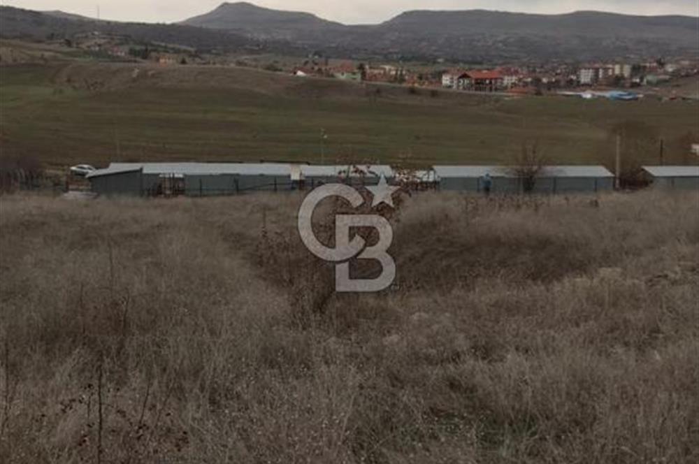 GÜDÜL İMAR SINIRINA YAKIN SATILIK TARLA