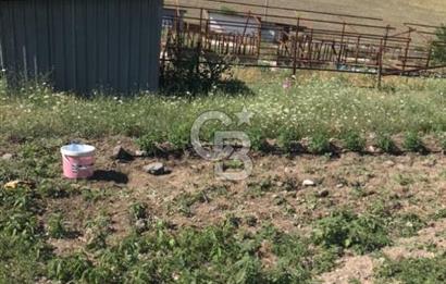 GÜDÜL İMAR SINIRINA YAKIN SATILIK TARLA