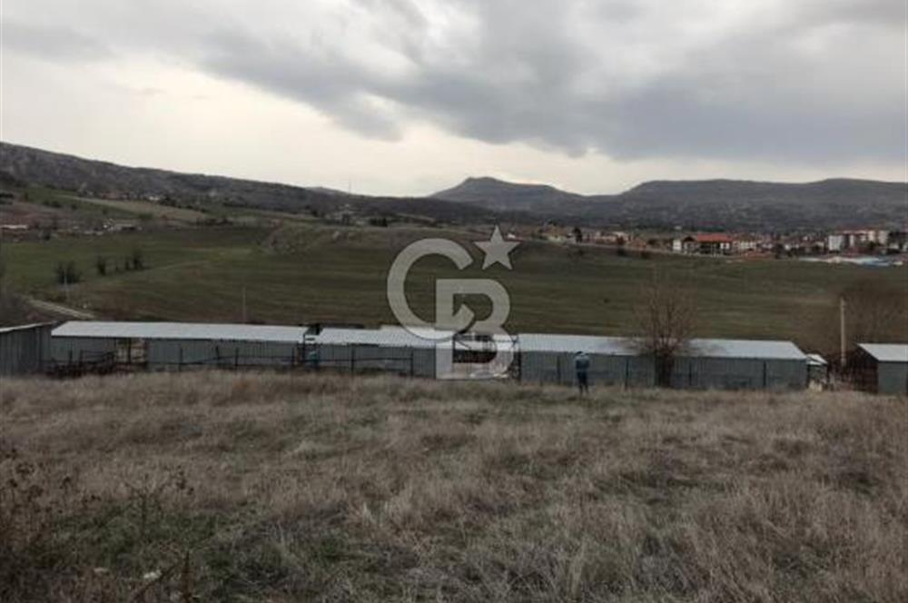 GÜDÜL İMAR SINIRINA YAKIN SATILIK TARLA