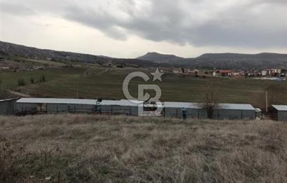 GÜDÜL İMAR SINIRINA YAKIN SATILIK TARLA