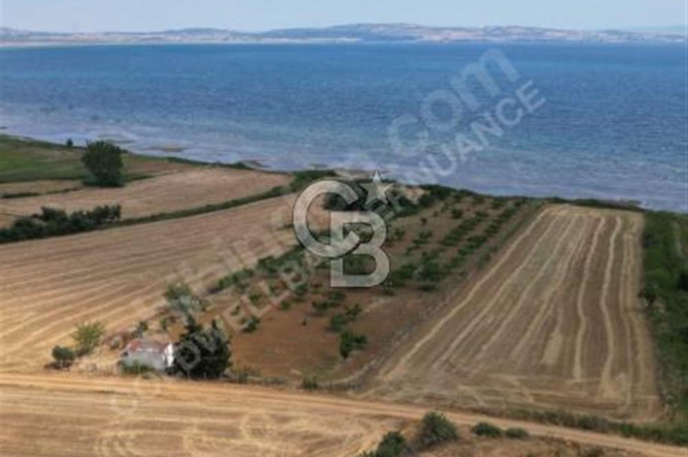 ÇANAKKALE, GELİBOLU, ADİLHAN KÖYÜ, SATILIK, TARLA..