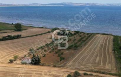 ÇANAKKALE, GELİBOLU, ADİLHAN KÖYÜ, SATILIK, TARLA..