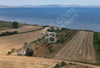 ÇANAKKALE, GELİBOLU, ADİLHAN KÖYÜ, SATILIK, TARLA..