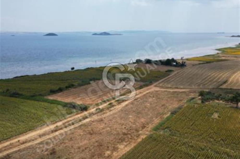 ÇANAKKALE, GELİBOLU, ADİLHAN KÖYÜ, SATILIK, TARLA..