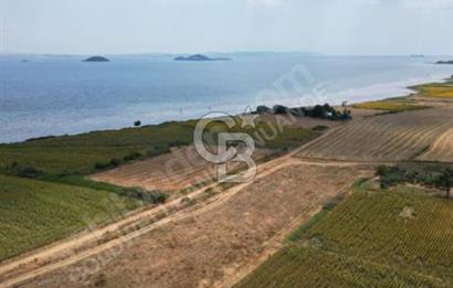 ÇANAKKALE, GELİBOLU, ADİLHAN KÖYÜ, SATILIK, TARLA..