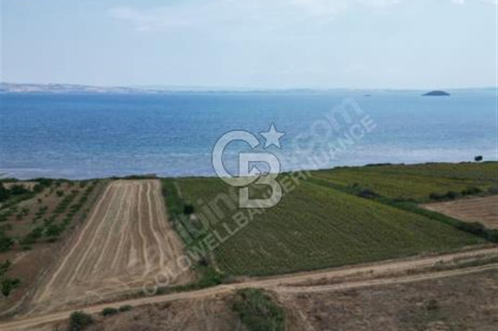 ÇANAKKALE, GELİBOLU, ADİLHAN KÖYÜ, SATILIK, TARLA..