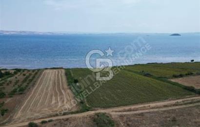 ÇANAKKALE, GELİBOLU, ADİLHAN KÖYÜ, SATILIK, TARLA..