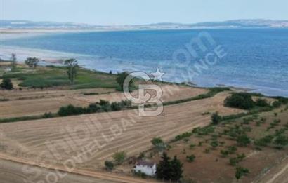 ÇANAKKALE, GELİBOLU, ADİLHAN KÖYÜ, SATILIK, TARLA..