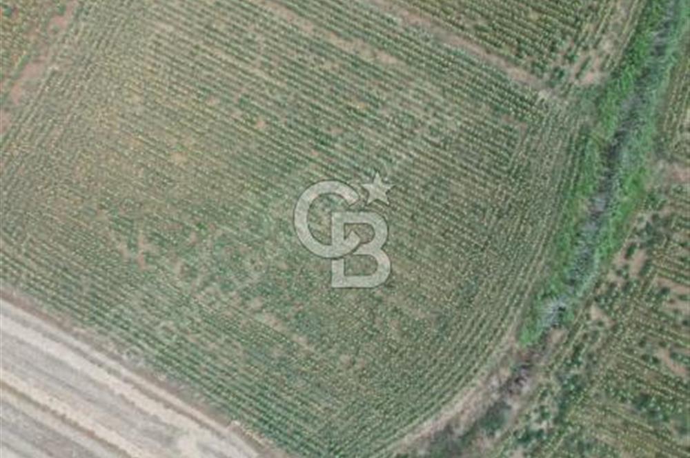 ÇANAKKALE, GELİBOLU, ADİLHAN KÖYÜ, SATILIK, TARLA..