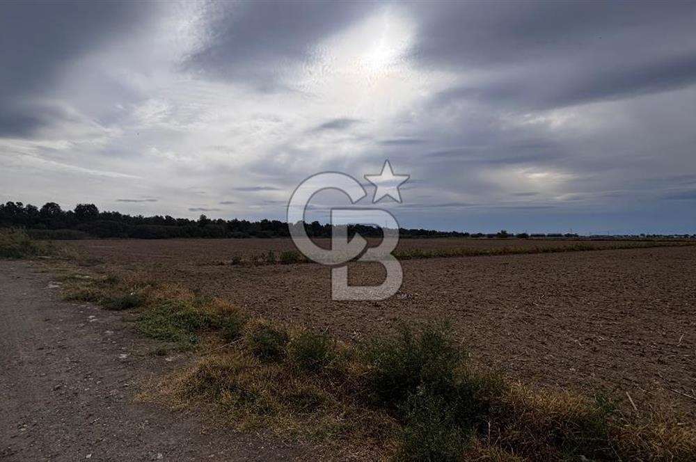 Çiğli Kaklıç ‘ta Satılık İmar Sınırında Tarla