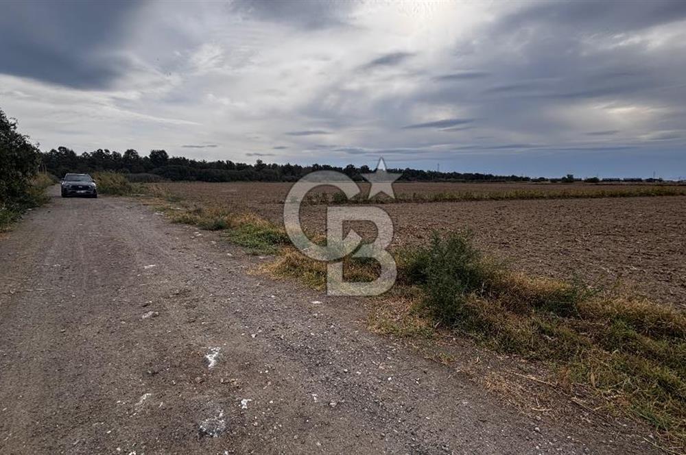 Çiğli Kaklıç ‘ta Satılık İmar Sınırında Tarla