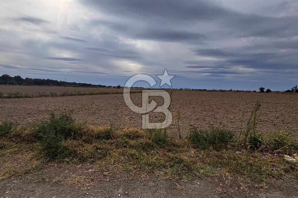 Çiğli Kaklıç ‘ta Satılık İmar Sınırında Tarla