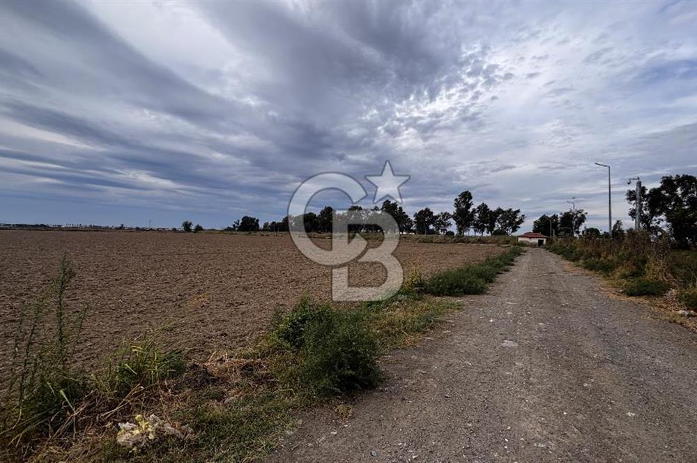 Çiğli Kaklıç ‘ta Satılık İmar Sınırında Tarla
