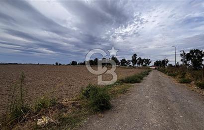 Çiğli Kaklıç ‘ta Satılık İmar Sınırında Tarla