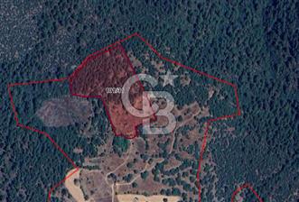CB BLACK'TAN BÜYÜKORHAN PİRİBEYLER'DE 18.900 M2 SATILIK TARLA