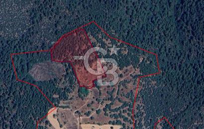 CB BLACK'TAN BÜYÜKORHAN PİRİBEYLER'DE 18.900 M2 SATILIK TARLA