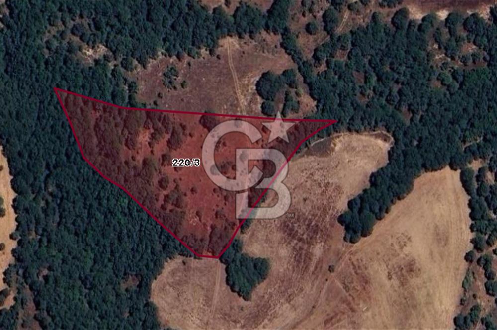CB BLACK'TAN BALIKESİR İVRİNDİ'DE 10.125 M2 SATILIK TARLA