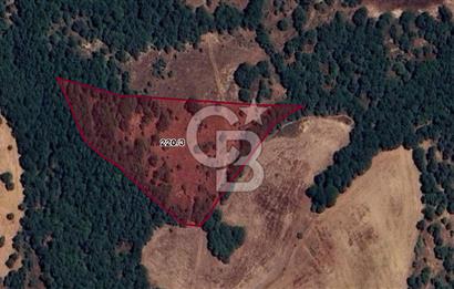 CB BLACK'TAN BALIKESİR İVRİNDİ'DE 10.125 M2 SATILIK TARLA