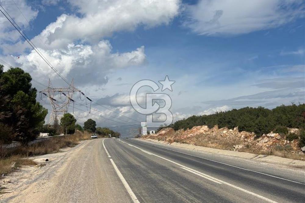 Muğla Yatağan Yeniköy Mahallesinde 6.585 m² Turgut Yoluna Cepheli Zeytliklik
