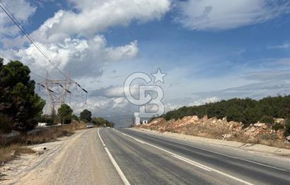 Muğla Yatağan Yeniköy Mahallesinde 6.585 m² Turgut Yoluna Cepheli Zeytliklik