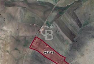 ÇANKAYA TOHUMLARDA 600 M2 BAHÇE YAPIMINA UYGUN TARLA 