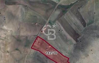 ÇANKAYA TOHUMLARDA 600 M2 BAHÇE YAPIMINA UYGUN TARLA 